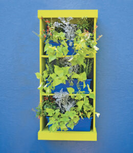 Make an Urban Water-Saving Garden Image